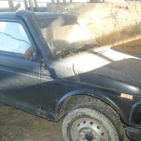 Niva noire 1