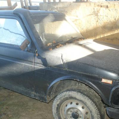 Niva noire 1