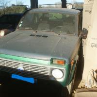 Niva verte 1